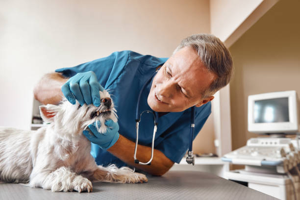 Best Emergency Tooth Extraction in Forest Heights, MD